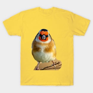 Goldfinch on teasels T-Shirt